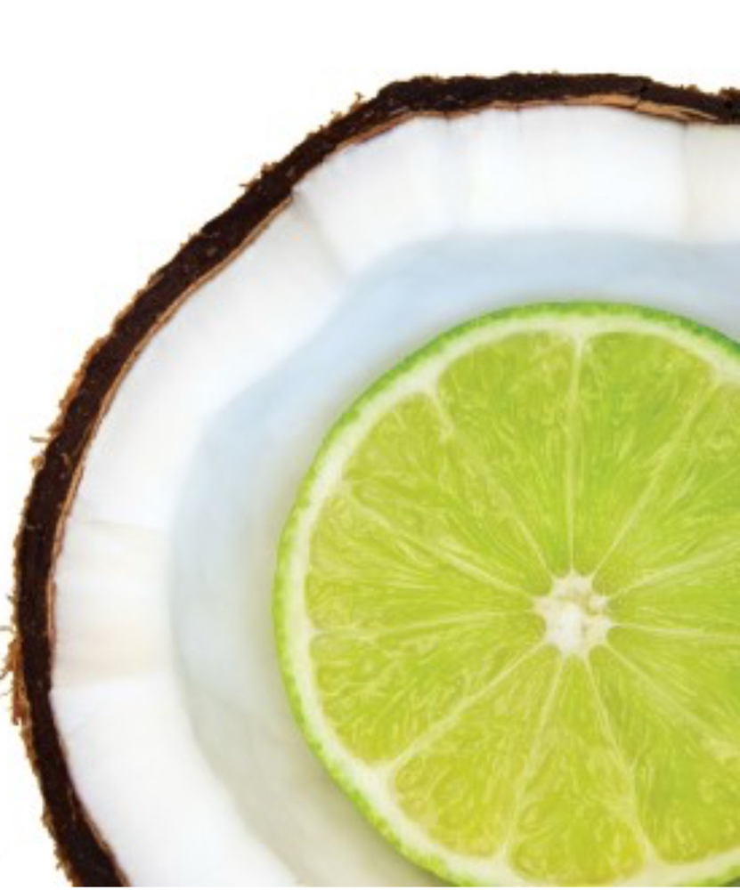 Coconut Lime Hand Treatment