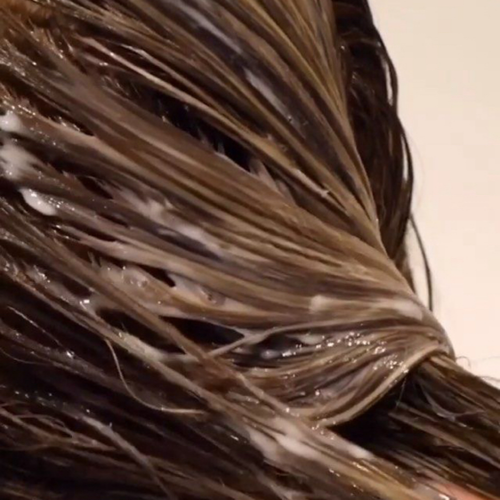 Express Gloss + Tone at The Hair Conservatory in Raleigh, NC