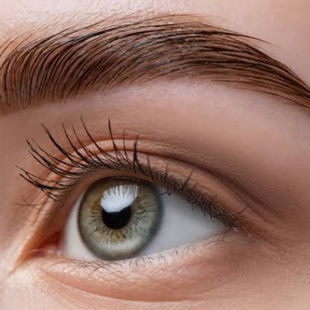 Eyebrow Shaping And Tinting at Elite Esthetic Lounge in Manalapan, NJ