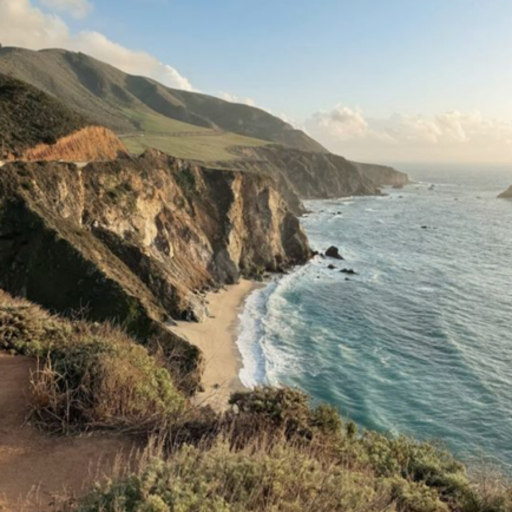 Brow Sculpting + Tint at Cedar & Coast Salon in Madison, WI