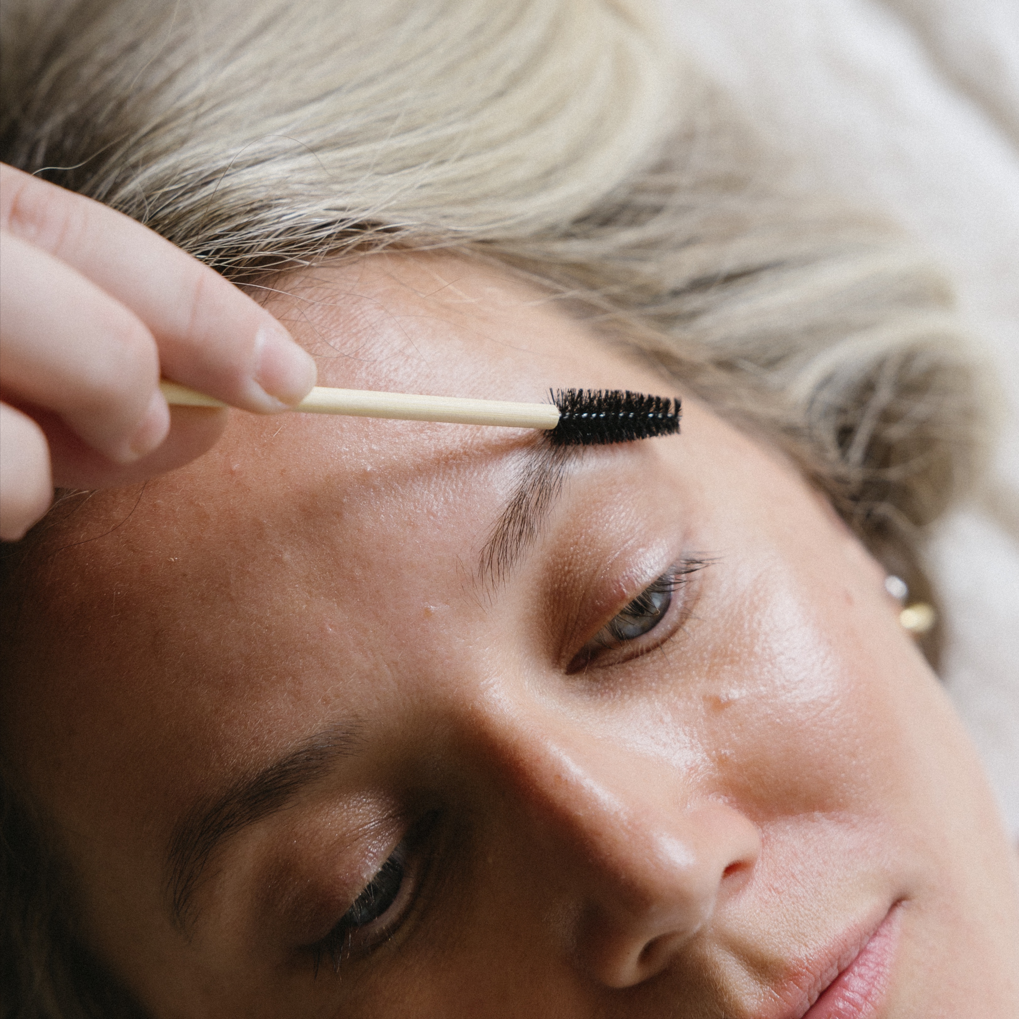 Brow Sculpting + Tint at Cedar & Coast Salon in Madison, WI