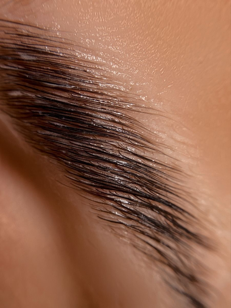 Brow Wax +Tint