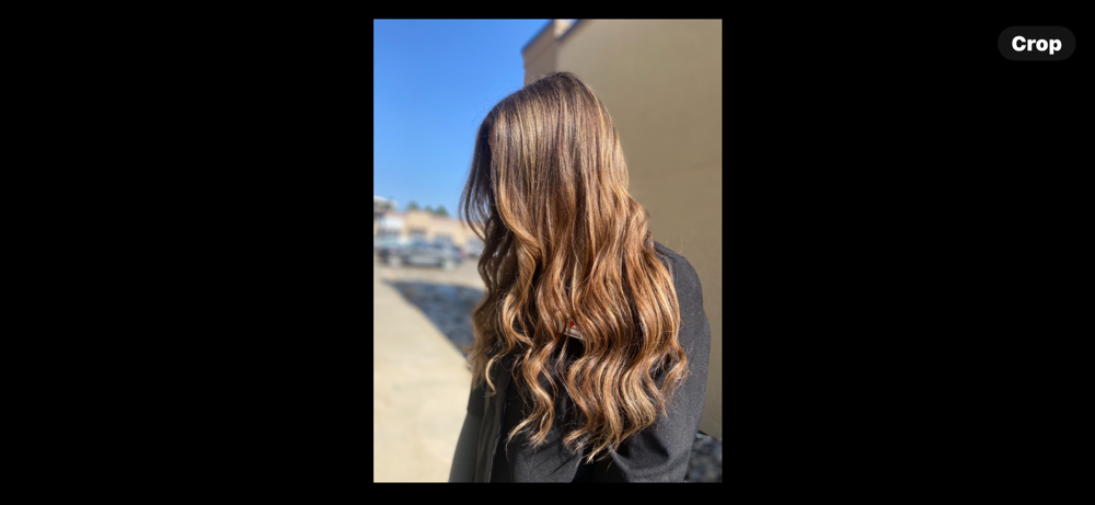 Blow Dry + Style/Blowout
