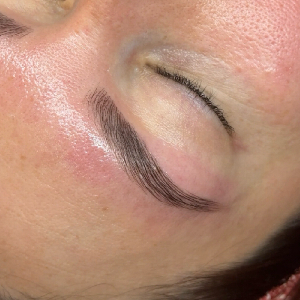 Brow Lami (NC 20% Off) at Tampa Lash Studio in Tampa, FL