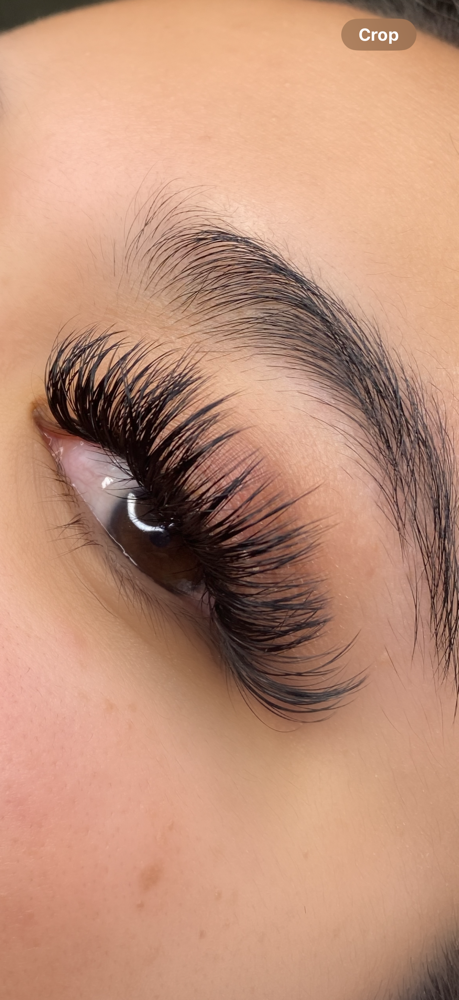 Hybrid/volume Lashes