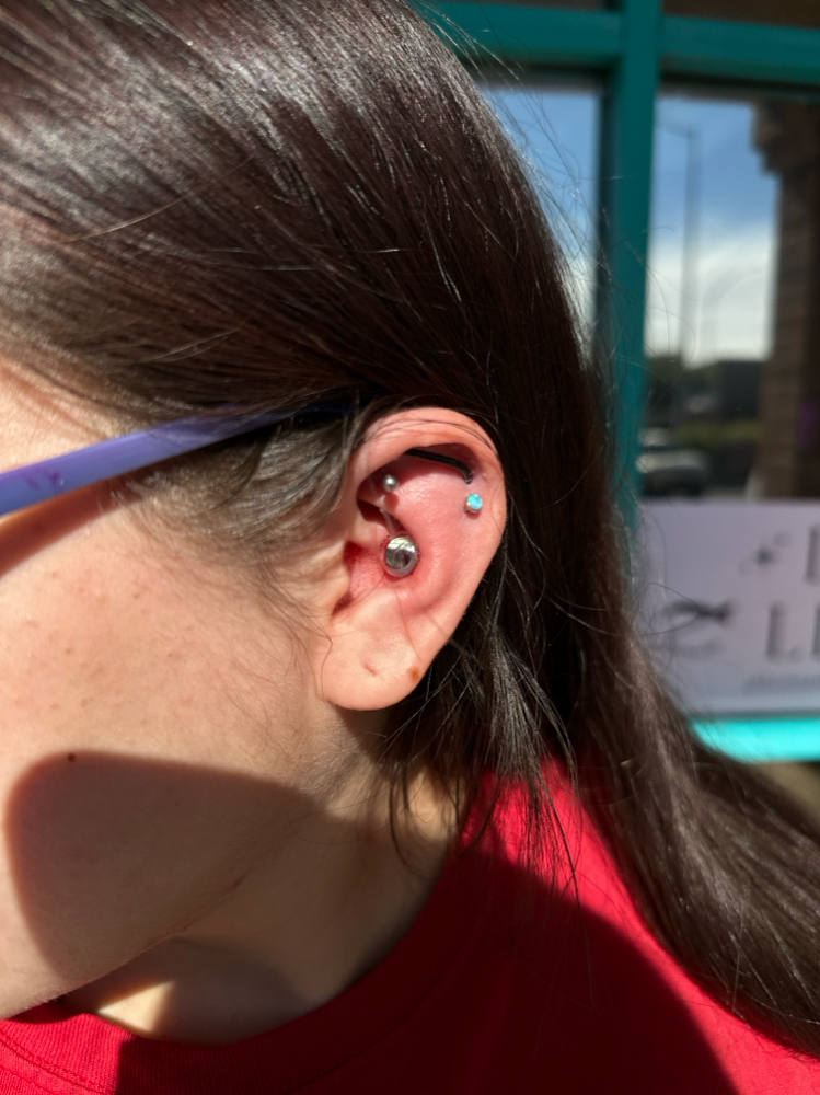 Large Gauge Ear piercing