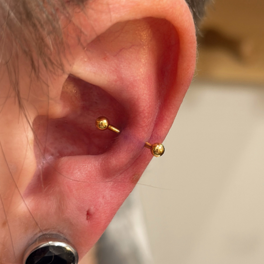 Snug at Monarch Piercing Studio in Logan, UT