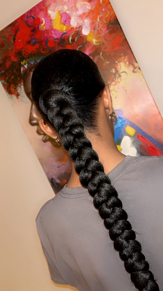 Slick Braided Ponytail