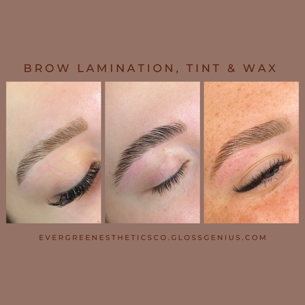 Brow Lamination, Tint & Wax