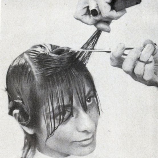 Fringe | Face framing at Lambgutzcutz in Ogden, UT