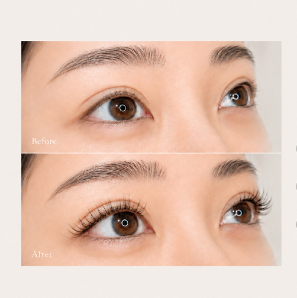 Flat Lash Extensions – Total 100 at Maison Beauty NYC in Newyork, NY