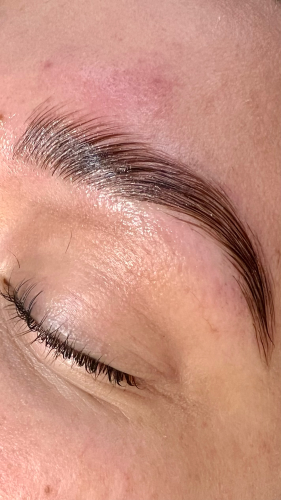 Brow Lamination - No Tint Or Wax