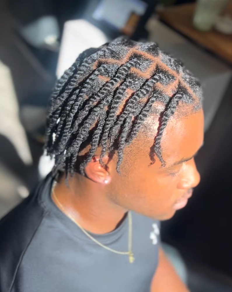 Two Strand Twist