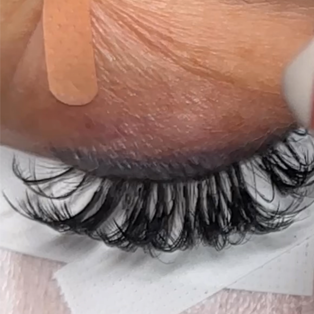 3 Week Fill at TLG LASH & BROW STUDIO in Nashville, TN