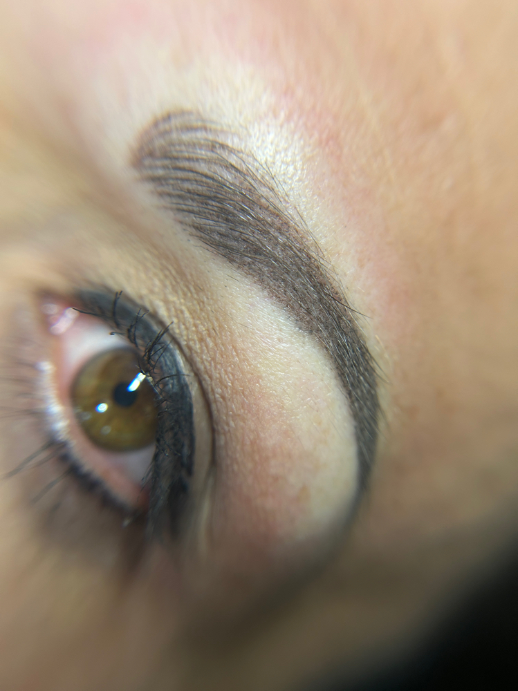 Annual Combo Brows