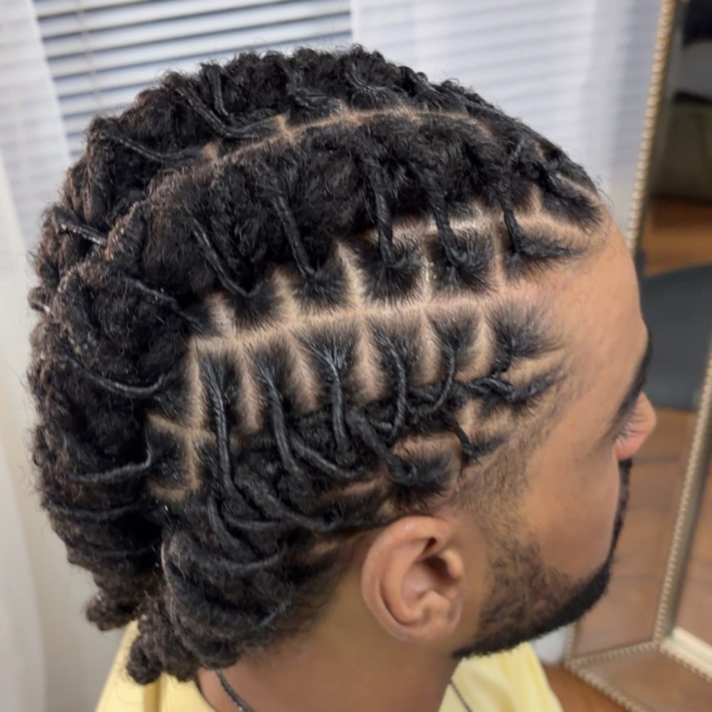 Wash/Retwist at Medusa Locs in Spokane, WA