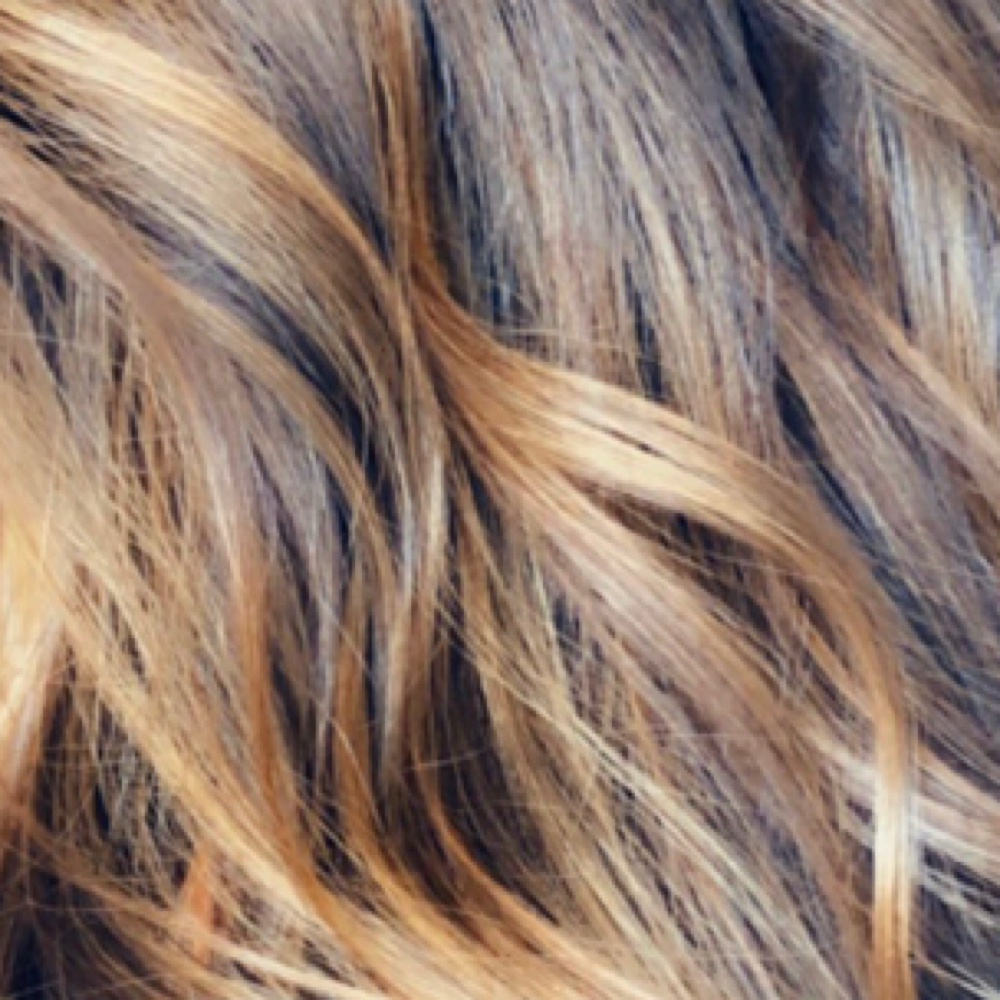 Highlight-PARTIAL at Hair by Georgina at Salon Haiku in Shorewood, IL