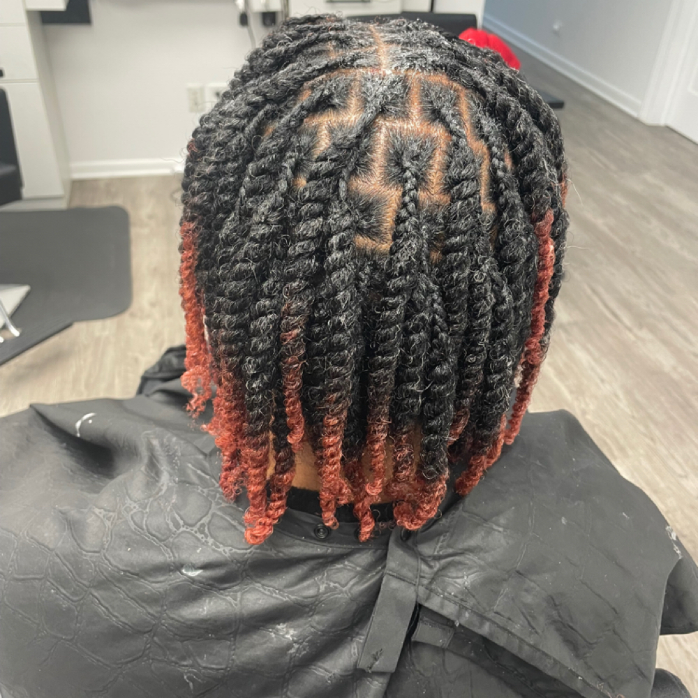 Two Strand twist at Crystal Ollie in Burton, MI