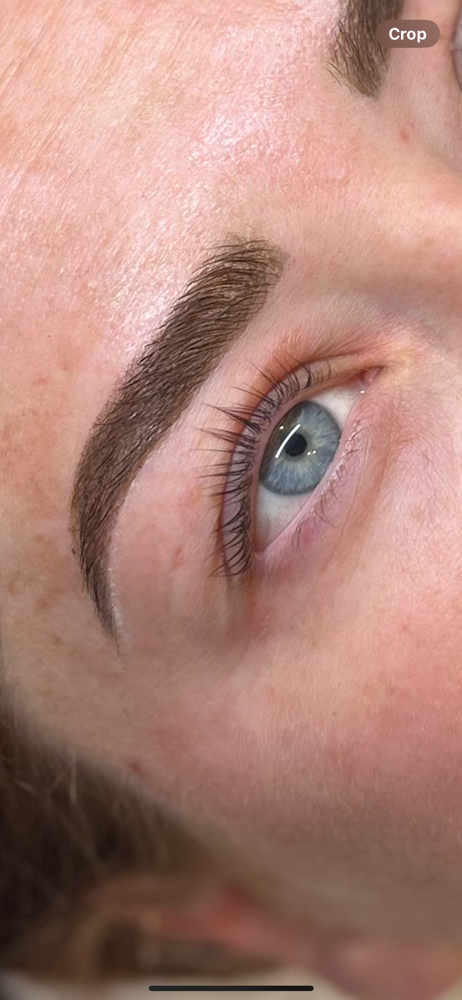 Lash Lift + Tint