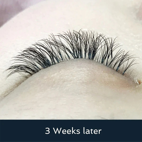 3 Week Classic Fill