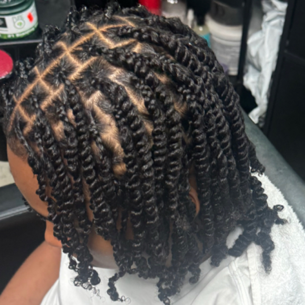 Boys Box Braids / 2 Strand Twists at B Diva Braids and Locs in Statesville, NC
