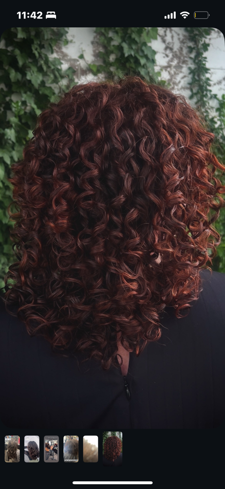 Curly Cut + Set at Glam By Tone in New York, NY