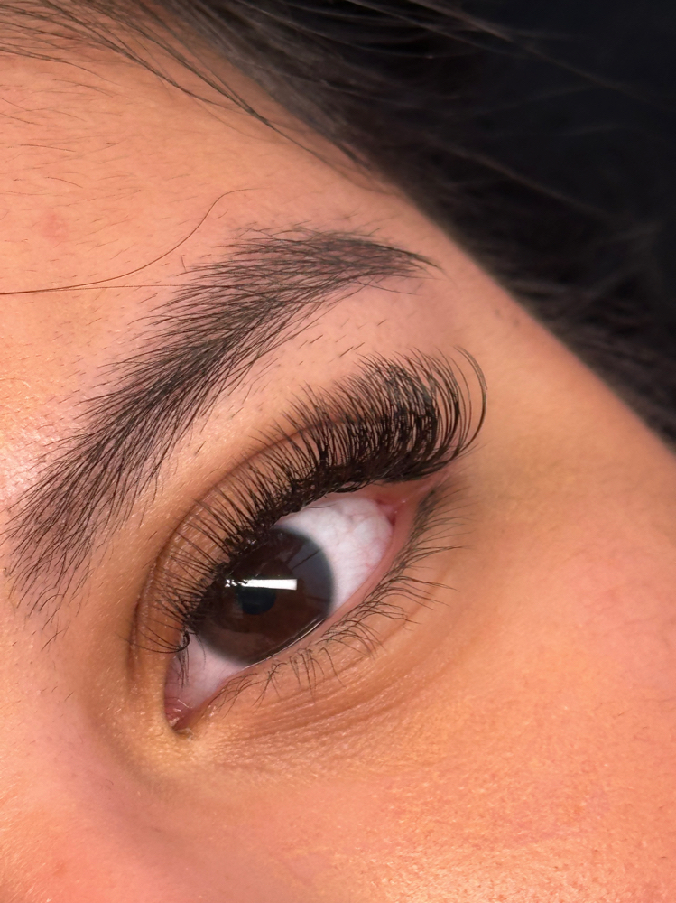 Lash Extensions