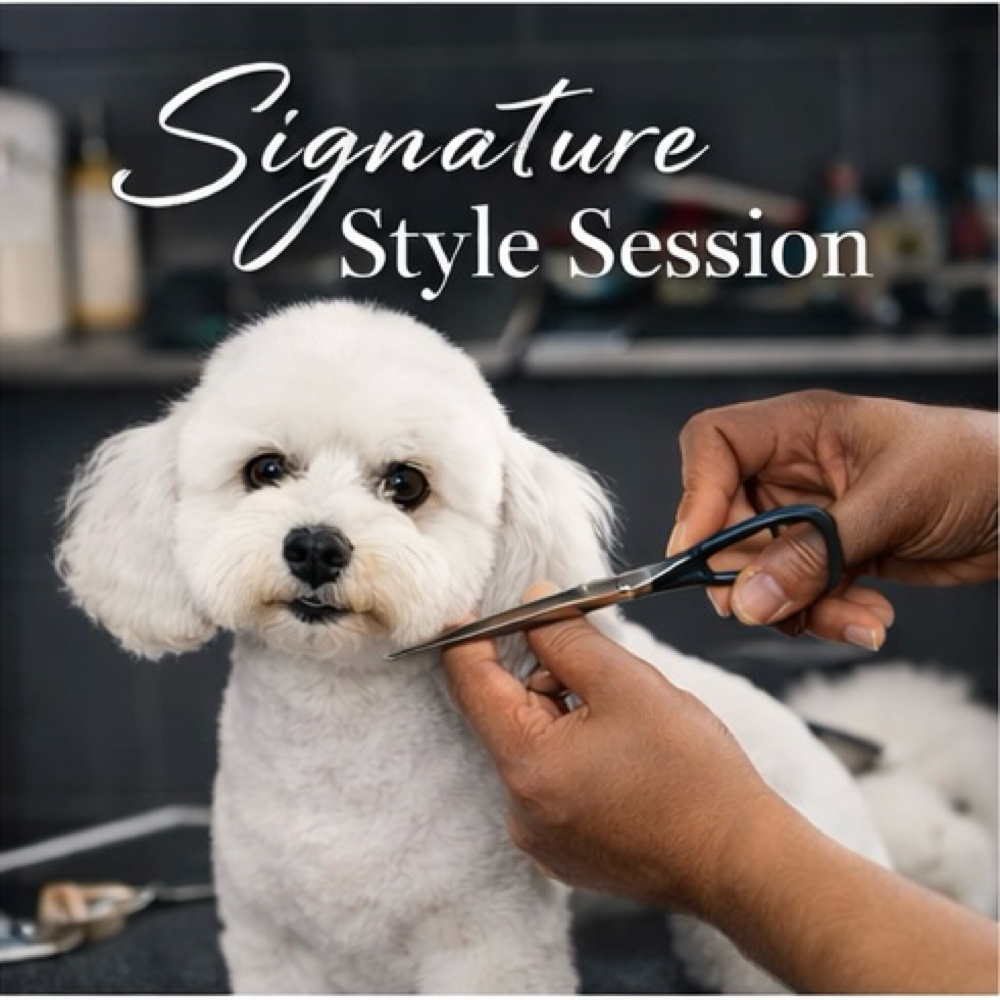 Signature Style Session at Petology in Fort Worth, TX