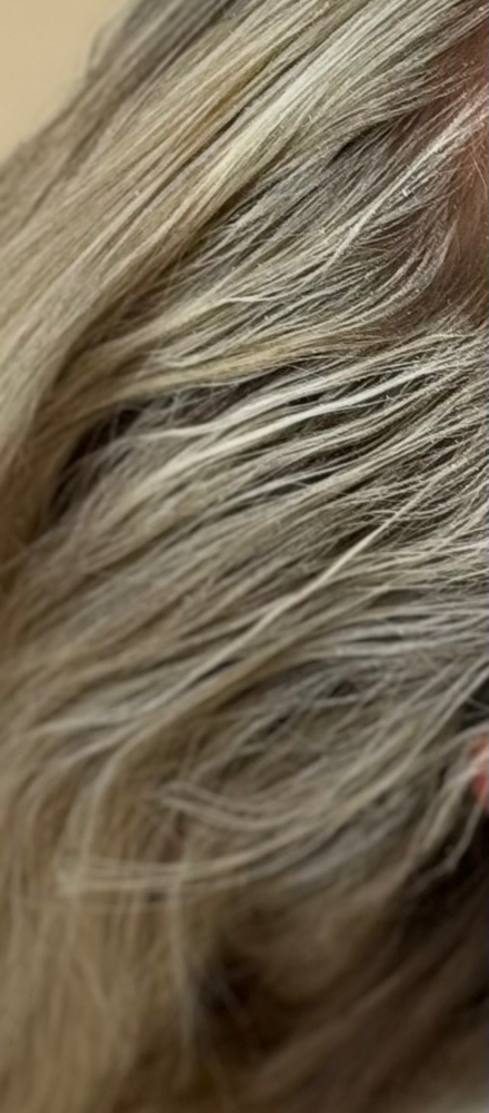 Platinum Root Retouch + Toner