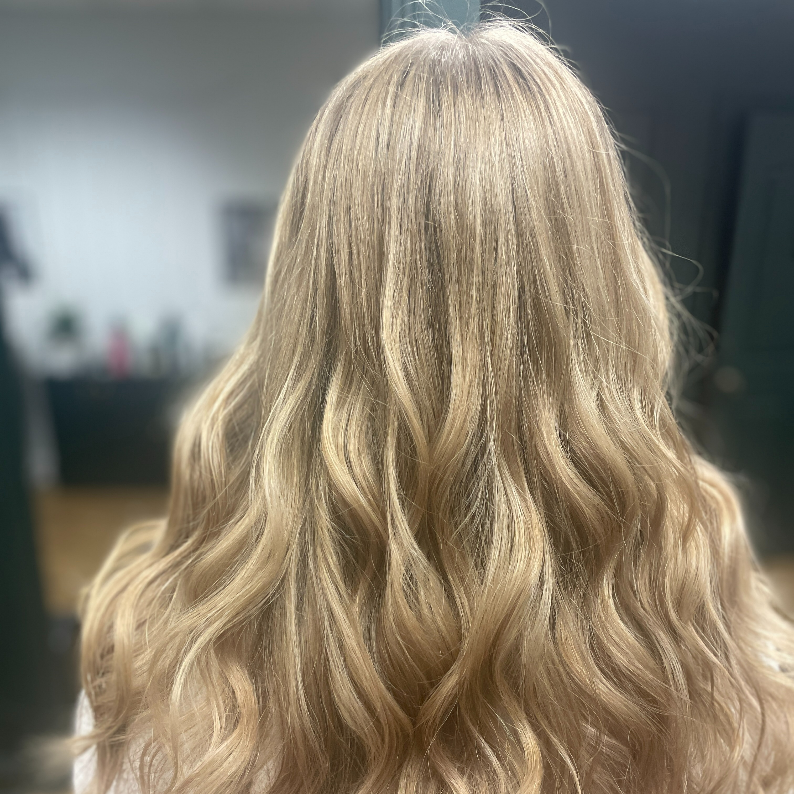 Full Highlights By Holli