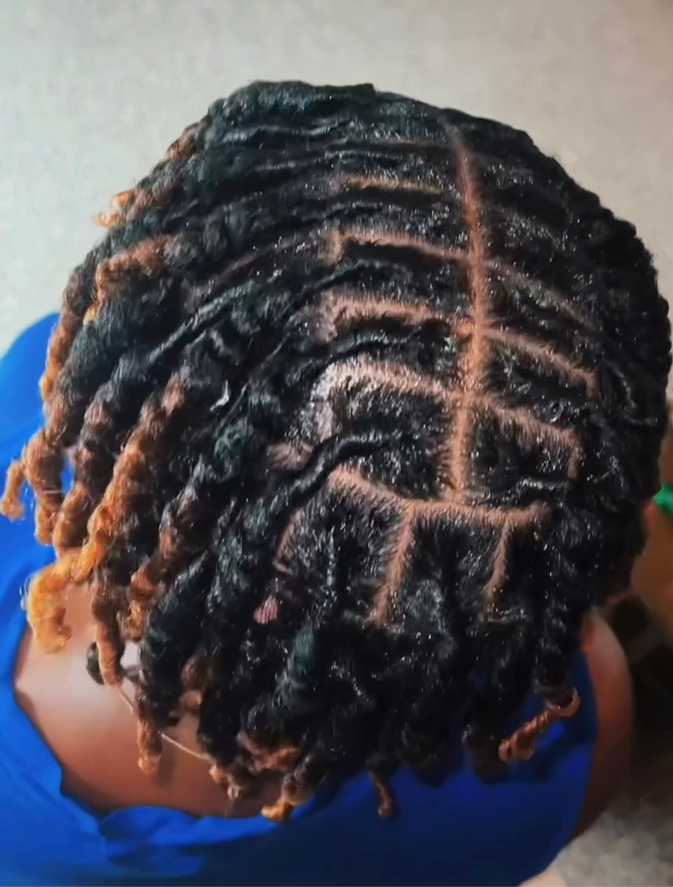 Starter Locs