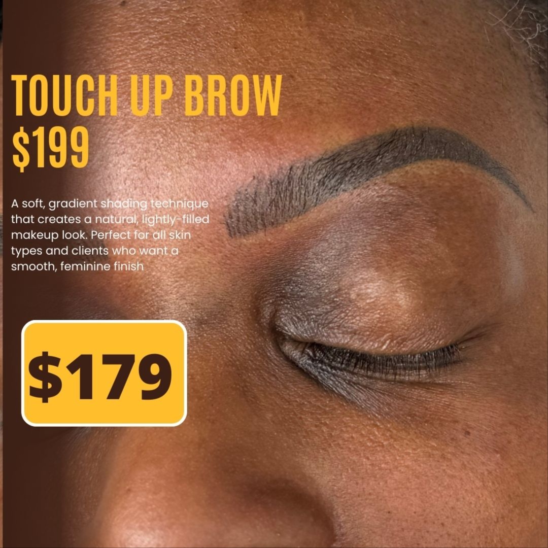 Brows Touch Up - $179