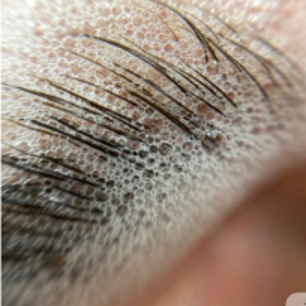 Brow Lamination Maintenance at Beauty And Body in San Dimas, CA