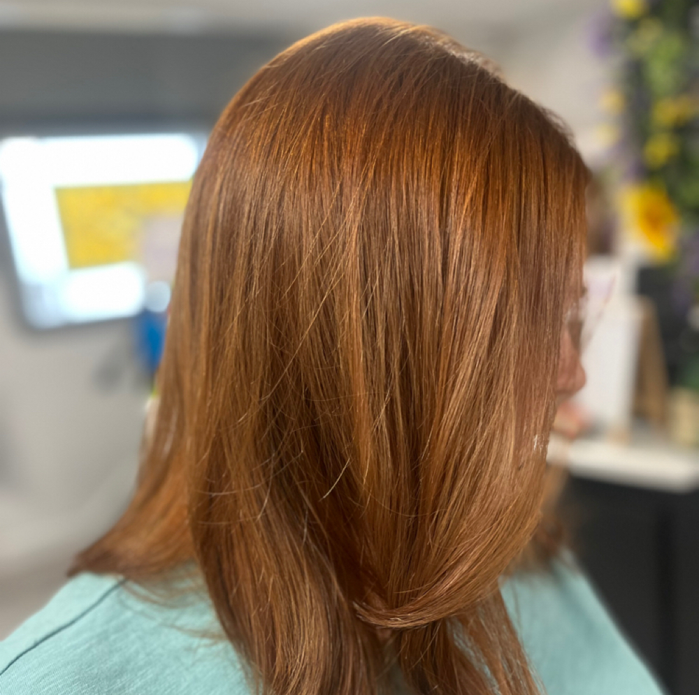 Root Retouch at Evolve Salon in Dedham, MA