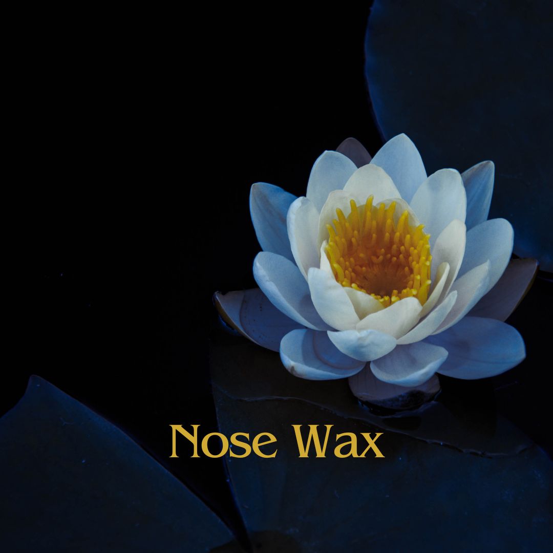 Nose Wax at Blue Lotus Beauty Spa in Sheboygan, WI