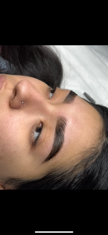 Brow Lamination + Wax + Tint at Moonphase Esthetics in Friendswood, TX