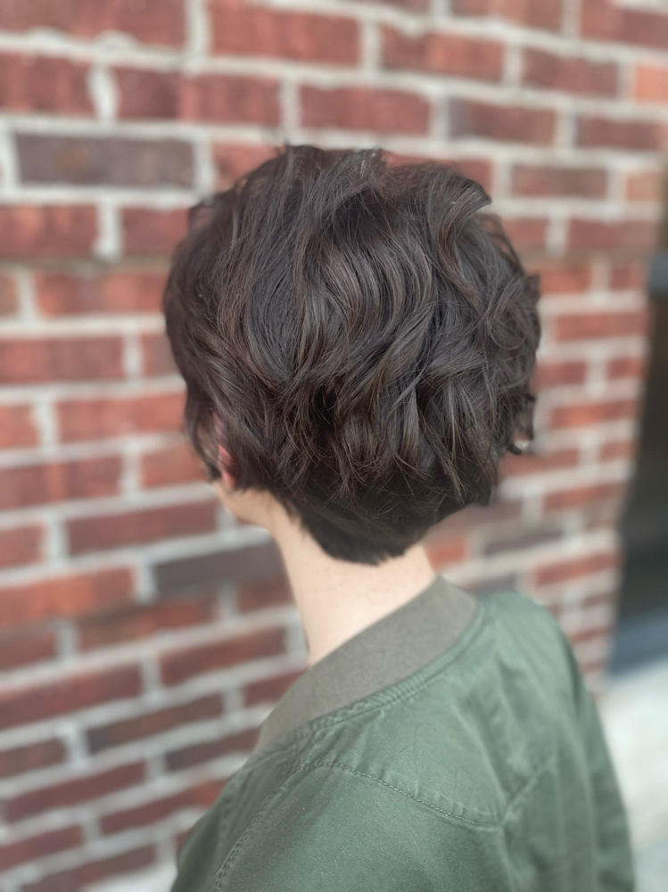 Female Dry Haircut