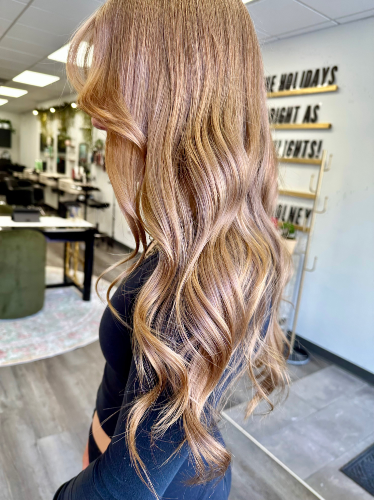 Shampoo, Haircut, Style