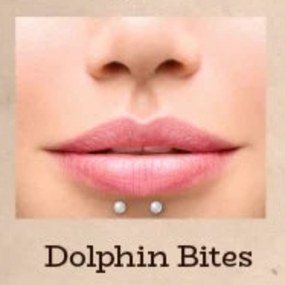 Dolphin Bites at Piercings By Autumn in New Castle, PA