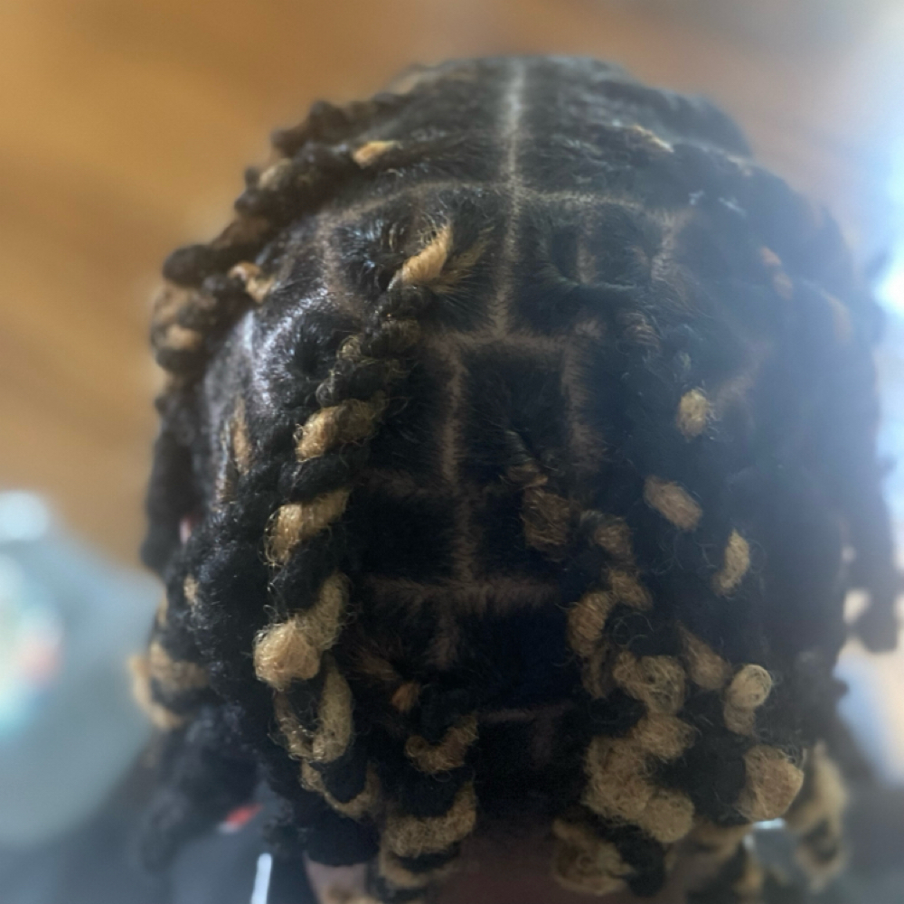Two Strand Retwist at Vaehdoeshair in Reading, PA
