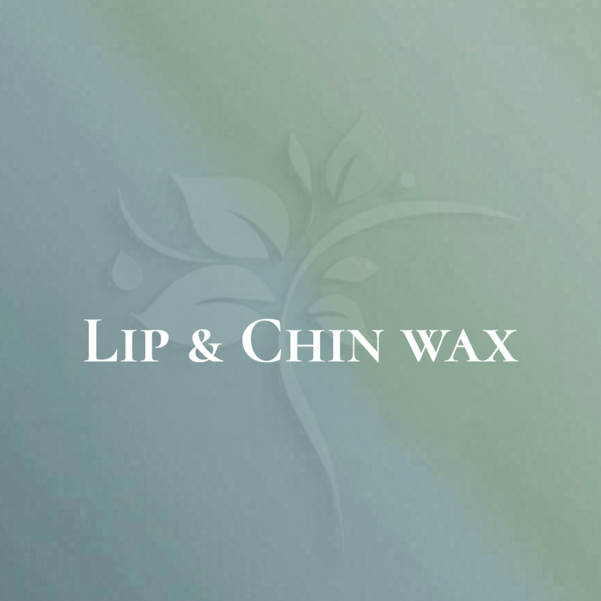 Lip & Chin Wax at Elysian Esthetics Spa in Loganville, GA