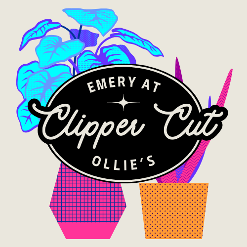 Clipper Cut
