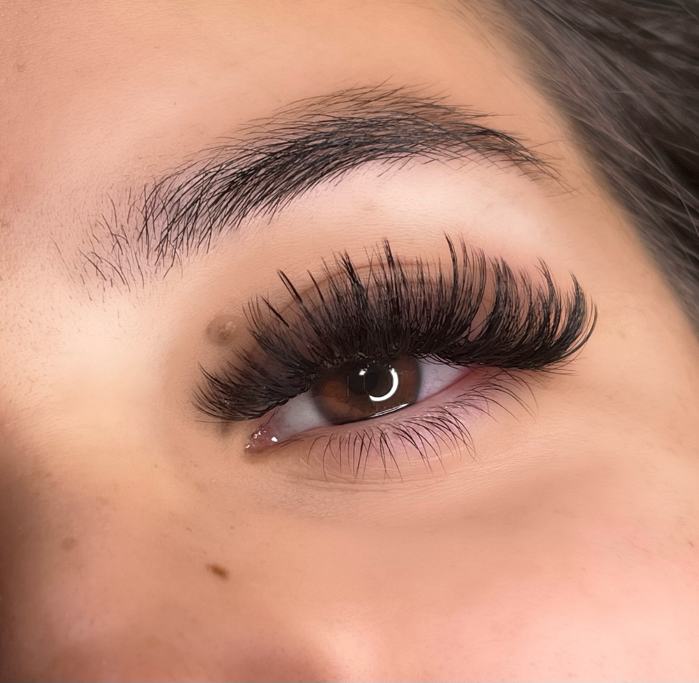 Mega Volume Lashes