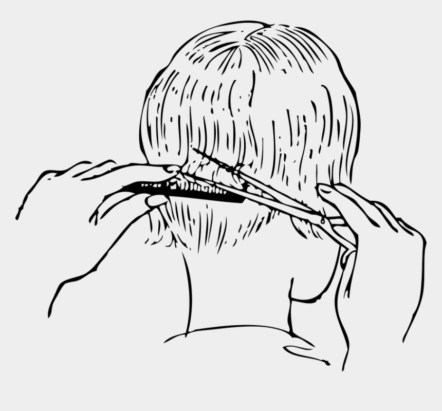 Dry Cut (No Shampoo, No Style)
