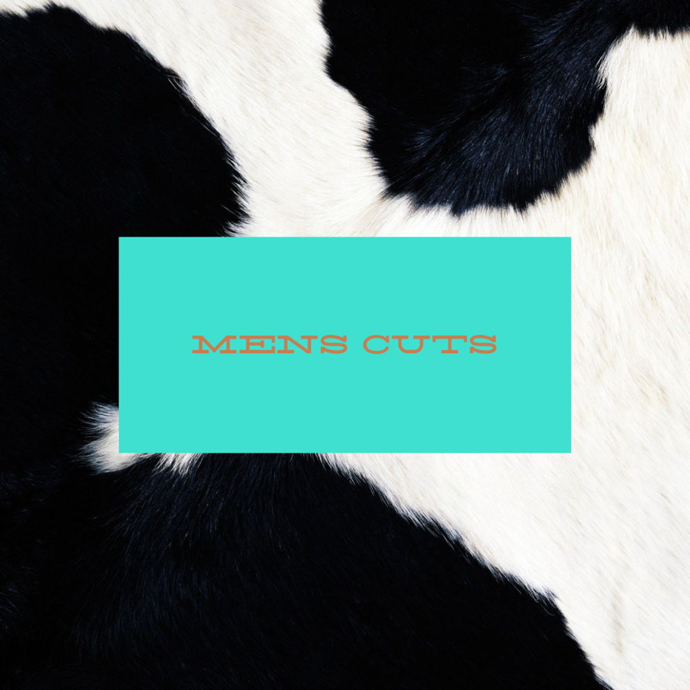 Mens Cut