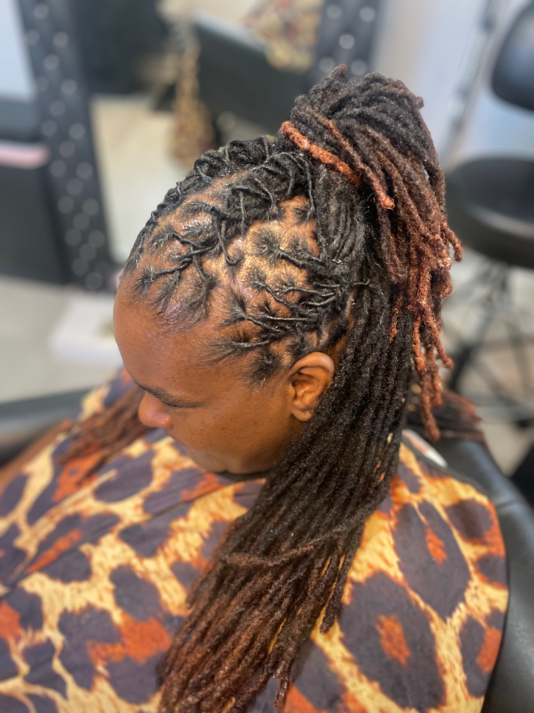 Loc Retwist and Style
