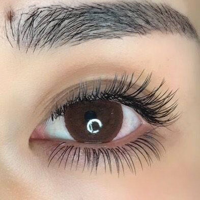 Bottom Lash Extension Model