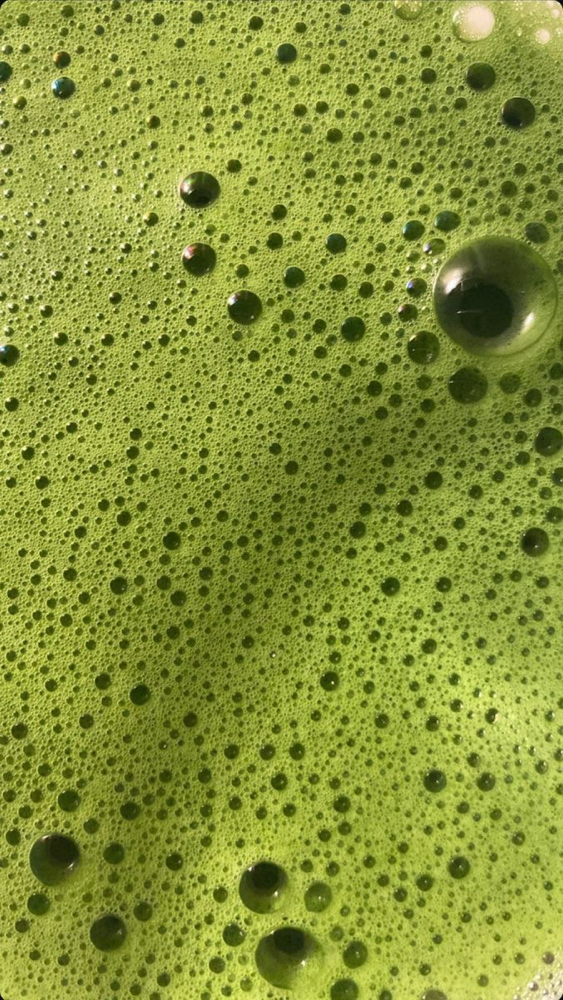 Matcha Latte Facial