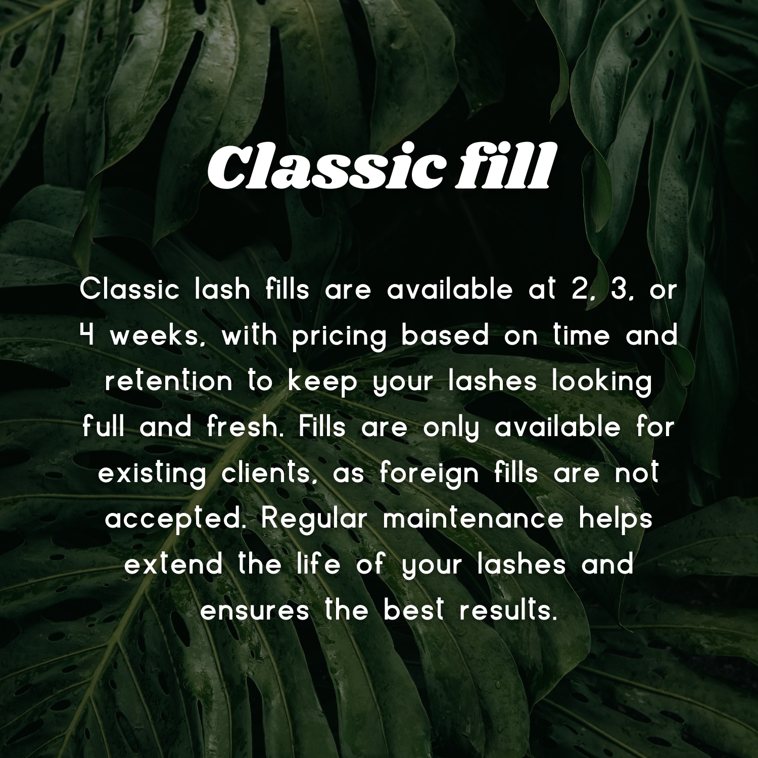 Classic Lash Fill