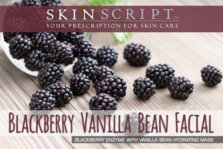 Blackberry Vanillabean Facial